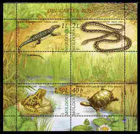 Moldova 2005 Reptiles & Amphibians perf m/sheet containing 4 values unmounted mint, SG MS 523, stamps on , stamps on  stamps on animals, stamps on  stamps on reptiles, stamps on  stamps on turtles, stamps on  stamps on snakes, stamps on  stamps on lizards, stamps on  stamps on frogs