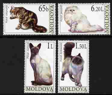 Moldova 2007 Cats perf set of 4 unmounted mint, SG 578-81, stamps on , stamps on  stamps on animals, stamps on  stamps on cats