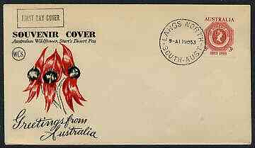 Australia 1953 Tasmanian Stamp Centenary on illustrated cover with first day cancel, stamps on , stamps on  stamps on stamp on stamp, stamps on  stamps on stamp centenary, stamps on  stamps on stamponstamp