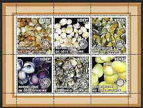 Ivory Coast 2002 Sea Shells #2 perf sheetlet containing set of 6 values (brown border) each with Rotary logo, unmounted mint, stamps on shells, stamps on marine life, stamps on rotary