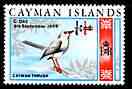 Cayman Islands 1969 Grand Cayman Thrush 1/4c on 1/4d from decimal opt def set unmounted mint, SG 238*, stamps on birds, stamps on thrush