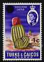 Turks & Caicos Islands 1969 Cactus 1c on 1d (wmk sideways) unmounted mint, SG 298a, stamps on , stamps on  stamps on cacti