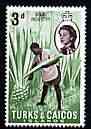 Turks & Caicos Islands 1967 Sisal Industry 3d from def set unmounted mint, SG 277, stamps on sisal, stamps on industries