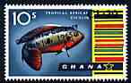 Ghana 1965 New Currency 1c20 on 10s Jewel Cichlid unmounted mint, SG 390, stamps on , stamps on  stamps on fish