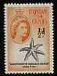 Tristan da Cunha 1960 Starfish 1/2d from def set unmounted mint, SG 28, stamps on , stamps on  stamps on marine life, stamps on  stamps on starfish