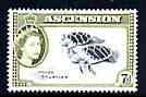 Ascension 1956 Young Turtles 7d (from def set) unmounted mint, SG 65, stamps on reptiles, stamps on turtles