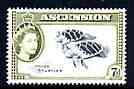 Ascension 1956 Young Turtles 7d (from def set) unmounted mint, SG 65, stamps on , stamps on  stamps on reptiles, stamps on  stamps on turtles