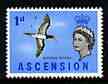 Ascension 1963 Brown Booby 1d (from bird def set) unmounted mint, SG 70, stamps on birds