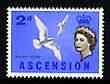 Ascension 1963 White Tern 2d (from bird def set) unmounted mint, SG 72, stamps on birds