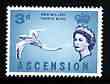 Ascension 1963 Tropic Bird 3d (from bird def set) unmounted mint, SG 73, stamps on birds