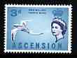 Ascension 1963 Tropic Bird 3d (from bird def set) unmounted mint, SG 73, stamps on , stamps on  stamps on birds