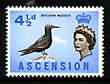Ascension 1963 Common Noddy 4.5d (from bird def set) unmounted mint, SG 74, stamps on , stamps on  stamps on birds