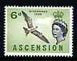 Ascension 1963 Sooty Tern 6d (from bird def set) unmounted mint, SG 75, stamps on birds