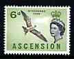 Ascension 1963 Sooty Tern 6d (from bird def set) unmounted mint, SG 75