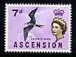 Ascension 1963 Frigate Bird 7d (from bird def set) unmounted mint, SG 76, stamps on birds