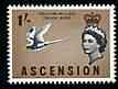 Ascension 1963 White-Tailed Tropic Bird 1s (from bird def set) unmounted mint, SG 78, stamps on birds
