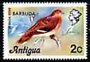 Barbuda 1977 Zenaida Dove 2c (from opt'd def set) unmounted mint, SG 307*, stamps on , stamps on  stamps on birds, stamps on  stamps on doves