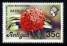 Barbuda 1977 Flame of the Wood 35c (from optd def set) unmounted mint, SG 316*, stamps on flowers, stamps on 