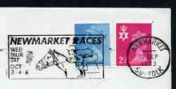 Postmark - Great Britain 1973 cover bearing illustrated slogan cancellation for Newmarket Races, stamps on sport, stamps on horses, stamps on horse racing