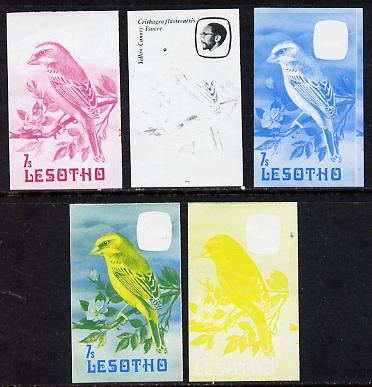 Lesotho 1982 Yellow Canary 7s the set of 5 imperf progressive proofs comprising the 4 individual colours, plus blue & yellow, scarce (as SG 505), stamps on birds      canary