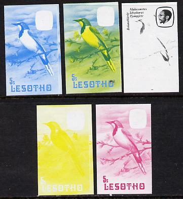 Lesotho 1982 Shrike 5s the set of 5 imperf progressive proofs comprising the 4 individual colours, plus blue & yellow, scarce (as SG 503), stamps on birds      shrike