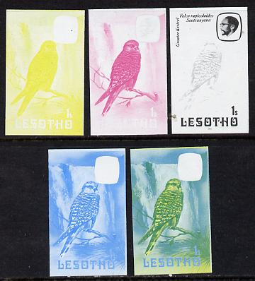 Lesotho 1982 Kestrel 1s the set of 5 imperf progressive proofs comprising the 4 individual colours, plus blue & yellow, scarce (as SG 500), stamps on birds   birds of prey     kestrel