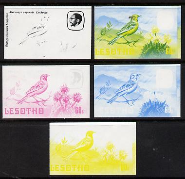 Lesotho 1982 Cape Longclaw 60s the set of 5 imperf progressive proofs comprising the 4 individual colours, plus blue & yellow, scarce (as SG 509), stamps on , stamps on  stamps on birds     longclaw