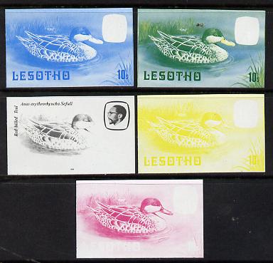 Lesotho 1981 Red Billed Teal 10s the set of 5 imperf progressive proofs comprising the 4 individual colours, plus blue & yellow, scarce (as SG 443), stamps on , stamps on  stamps on lesotho, stamps on  stamps on birds, stamps on  stamps on teal, stamps on  stamps on ducks, stamps on  stamps on 