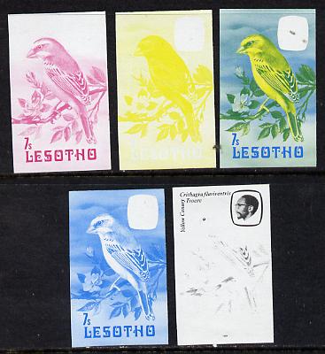 Lesotho 1981 Yellow Canary 7s the set of 5 imperf progressive proofs comprising the 4 individual colours, plus blue & yellow, scarce (as SG 442), stamps on lesotho, stamps on birds, stamps on canary, stamps on 