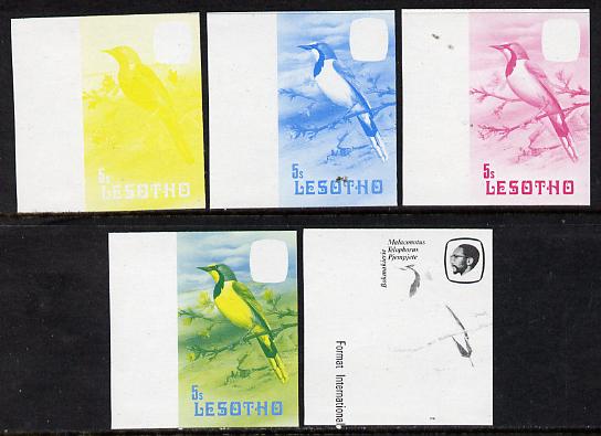 Lesotho 1981 Shrike 5s the set of 5 imperf progressive proofs comprising the 4 individual colours, plus blue & yellow, scarce (as SG 440), stamps on , stamps on  stamps on lesotho, stamps on  stamps on birds, stamps on  stamps on shrike, stamps on  stamps on 