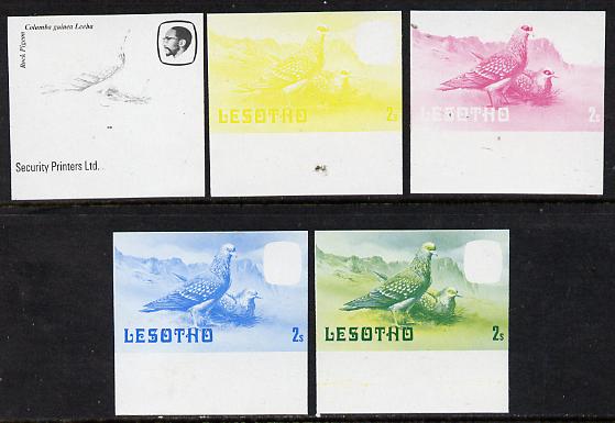 Lesotho 1981 Rock Pigeon 2s the set of 5 imperf progressive proofs comprising the 4 individual colours, plus blue & yellow, scarce (as SG 438), stamps on lesotho, stamps on birds, stamps on pigeons, stamps on 