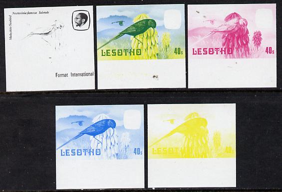 Lesotho 1981 Malachite Sunbird 40s the set of 5 imperf progressive proofs comprising the 4 individual colours, plus blue & yellow, scarce (as SG 445), stamps on , stamps on  stamps on lesotho, stamps on  stamps on birds, stamps on  stamps on sunbird
