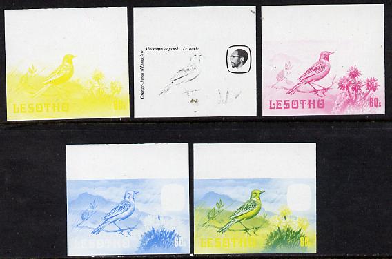 Lesotho 1981 Cape Longclaw 60s the set of 5 imperf progressive proofs comprising the 4 individual colours, plus blue & yellow, scarce (as SG 446), stamps on , stamps on  stamps on lesotho, stamps on  stamps on birds, stamps on  stamps on longclaw