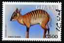 Ghana 2000 Banded (Zebra) Duiker 500c (from Fauna & Flora set) signed by Thomas C Wood the designer unmounted mint, SG 2993, stamps on , stamps on  stamps on animals