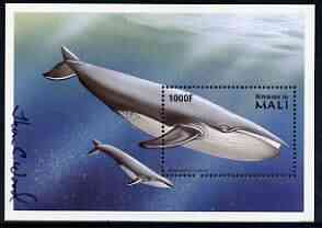 Mali 1997? Blue Whale 1000f perf m/sheet signed by Thomas C Wood the designer, stamps on whales, stamps on mammals