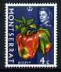 Montserrat 1969-70 Pepper 4c (wmk sideways) unmounted mint, SG 216, stamps on fruit, stamps on food, stamps on 