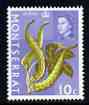 Montserrat 1969-70 Ochra 10c (wmk sideways) unmounted mint, SG 218, stamps on fruit, stamps on food, stamps on 