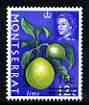 Montserrat 1969-70 Surcharged 15c on 12c lime (wmk sideways) unmounted mint, SG 219, stamps on fruit, stamps on limes