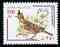 Iran 1999 Lark 250r from birds def set unmounted mint, SG 2993, stamps on , stamps on  stamps on birds, stamps on  stamps on lark