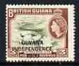 Guyana 1966 Water Lilies 3c with Independence opt (Local opt on Block CA wmk) unmounted mint SG 431*, stamps on flowers