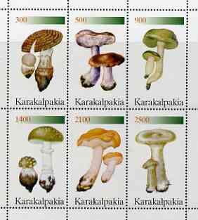 Karakalpakia Republic 1998 Fungi perf sheetlet containing complete set of 6 values unmounted mint, stamps on , stamps on  stamps on fungi