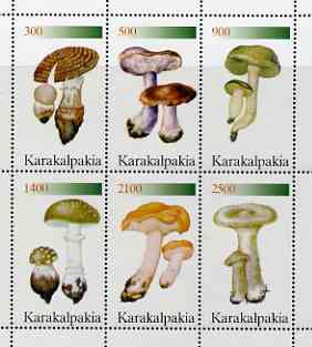 Karakalpakia Republic 1998 Fungi perf sheetlet containing complete set of 6 values unmounted mint, stamps on fungi