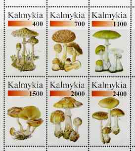 Kalmikia Republic 1998 Fungi #1 perf sheetlet containing complete set of 6 values unmounted mint, stamps on , stamps on  stamps on fungi