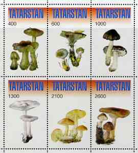 Tatarstan Republic 1998 Mushrooms #2 perf sheetlet containing complete set of 6 values unmounted mint, stamps on , stamps on  stamps on fungi