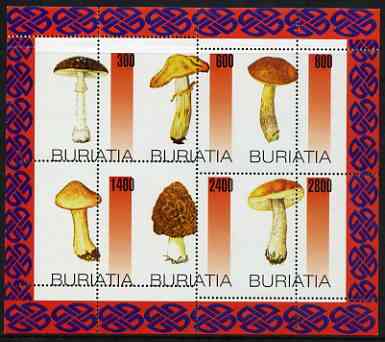 Buriatia Republic 1998 Fungi #09 perf sheetlet containing complete set of 6 values unmounted mint, stamps on , stamps on  stamps on fungi