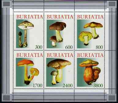 Buriatia Republic 1998 Fungi #10 perf sheetlet containing complete set of 6 values unmounted mint, stamps on , stamps on  stamps on fungi