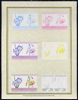 Tuvalu - Nanumaga 1985 Flowers (Leaders of the World) 25c set of 7 imperf progressive proof pairs comprising the 4 individual colours plus 2, 3 and all 4 colour composites mounted on special Format International cards (7 se-tenant proof pairs), stamps on , stamps on  stamps on flowers