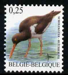 Belgium 2002-09 Birds #5 Oystercatcher 0.25 Euro unmounted mint, SG 3698, stamps on birds