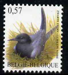 Belgium 2002-09 Birds #5 Black Tern 0.57 Euro unmounted mint, SG 3702, stamps on , stamps on  stamps on birds    