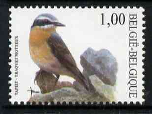 Belgium 2002-09 Birds #5 Wheatear 1.00 Euro unmounted mint, SG 3705, stamps on birds